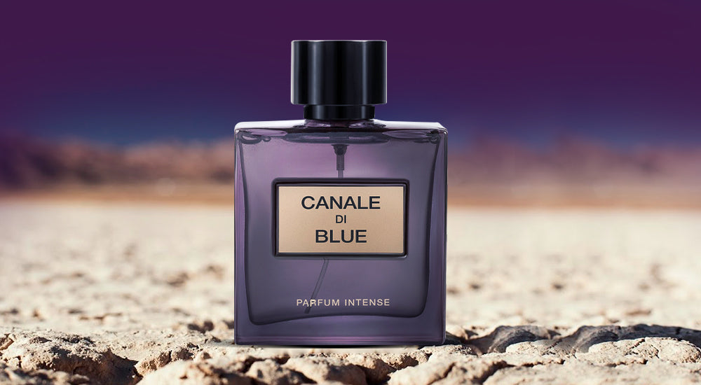 Dive Into The Depth Of Elegance